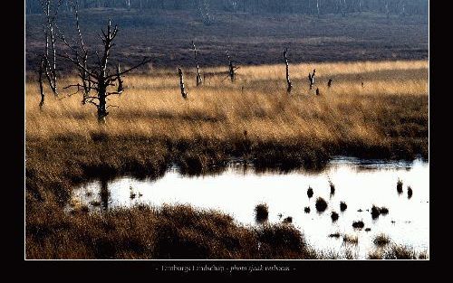 Genieten van onontdekt Limburg. - Foto RD, Sjaak Verboom