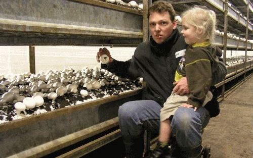 RIJSBERGEN - Het valt momenteel niet mee in de champignonteelt. Toch geniet kweker Bert Kemmeren uit Rijsbergen volop van zijn werk. „Het is een uitdaging om voor jezelf bezig te zijn met vrouw en kinderen om je heen”, zegt de teler over zijn passie voor 