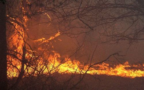 TILBURG - In het bosgebied bij de Reeshofweg in Tilburg woedde gistermiddag een grote brand in een gebied van 100 hectare. Ook in Dronten ging een stukje natuurgebied in vlammen op. De dreiging van natuurbranden wordt door de aanhoudende droogte steeds gr