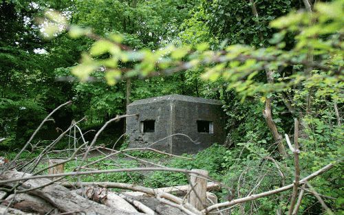 RHENEN - De kazemat S15 aan de voet van de Grebbeberg. Zaterdag wordt de herstelde bunker voor het eerst aan het publiek getoond. Er is voor die gelegenheid ook geschut in geplaatst. - Foto RD, Anton Dommerholt