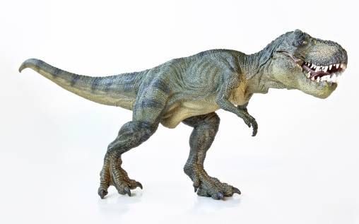 T. rex. beeld Fotolia