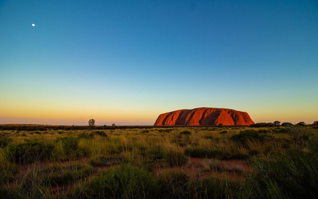 Met een nieuwe binnenlandse toerismecampagne worden Australiërs aangespoord om hun vakantie binnen de landsgrenzen te vieren. beeld Unsplash