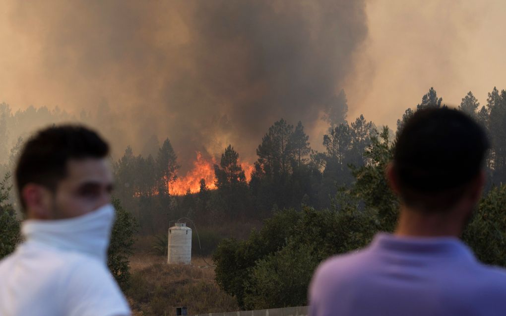 Afgelopen zomer waren er in Portugal ook al 64 doden te betreuren als gevolg van hevige branden. beeld EPA