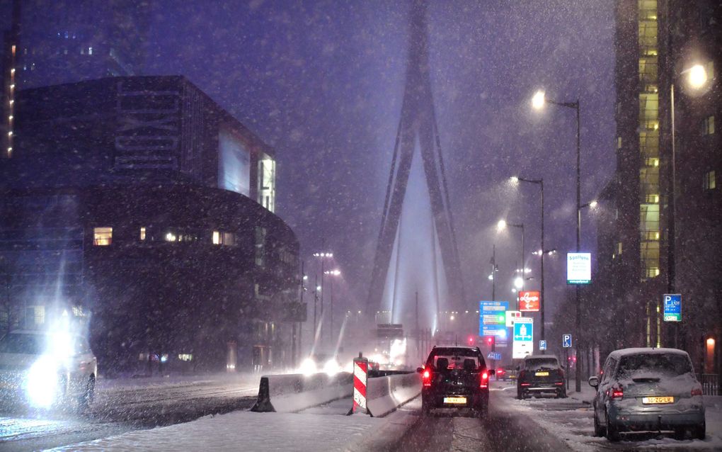 Rotterdam. beeld ANP