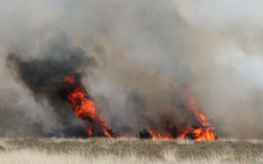 Natuurbrand op de Strabrechtse Heide bij Geldrop en Heeze. Foto ANP