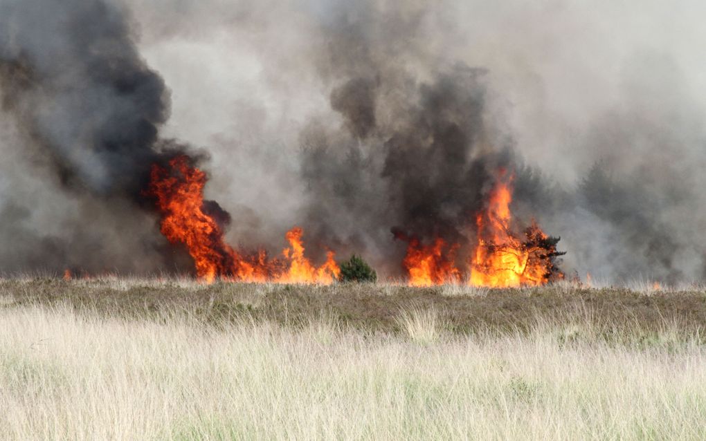 Brand op Strabrechtse Heide. Foto ANP