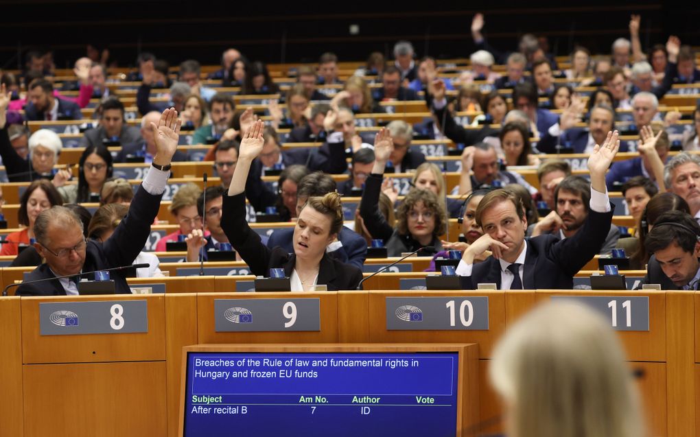 Europarlementsleden stemmen donderdag in Brussel over een resolutie waarin ze de lidstaten oproepen het voorzitterschap van Hongarije van de Europese Raad in de tweede helft van 2024 te heroverwegen. beeld EPA, Olivier Hoslet