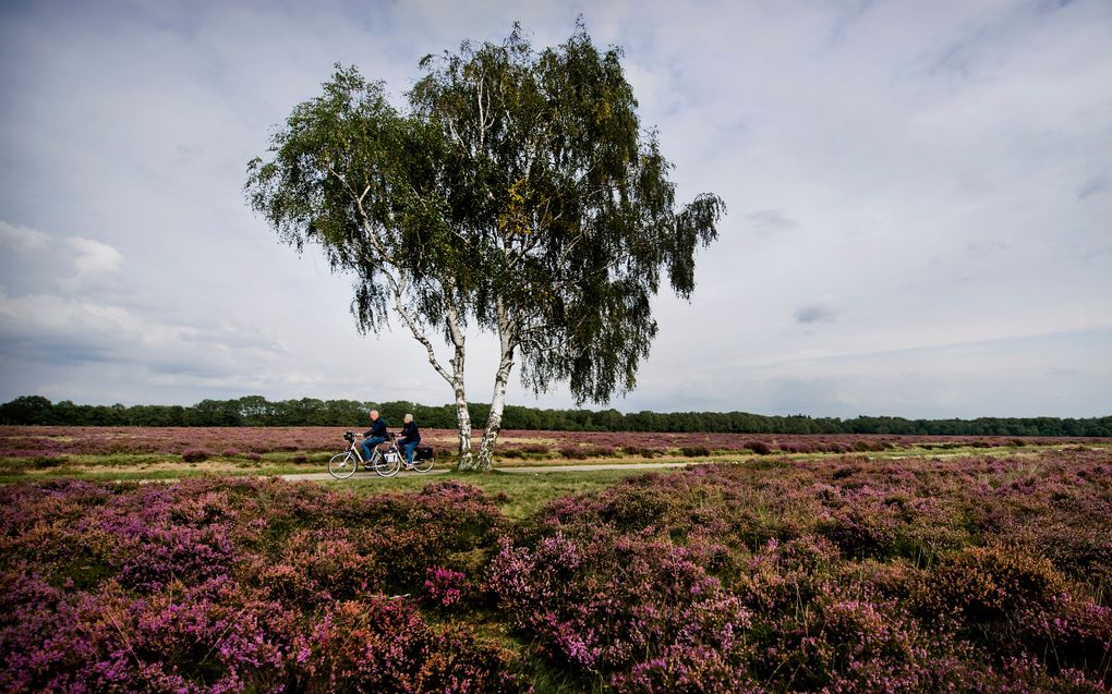 Als door bezuinigingen investeringen in stedelijke ontwikkeling en in natuur en landschap teruglopen, dan zal dit ten koste gaan van zowel de leefbaarheid in de steden als de kwaliteit van natuur en landschap. Foto ANP