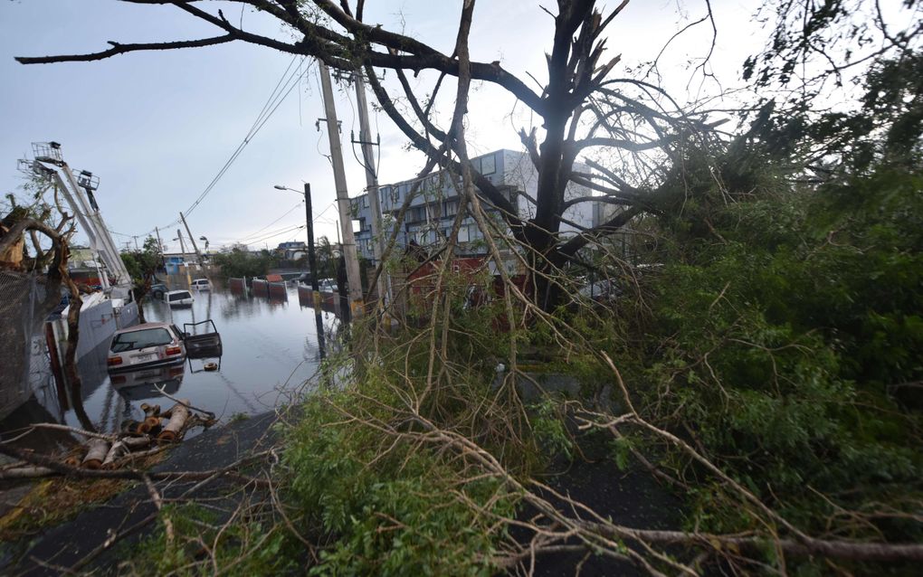 Puerto Rico nadat orkaan Maria over het eiland raasde. beeld AFP