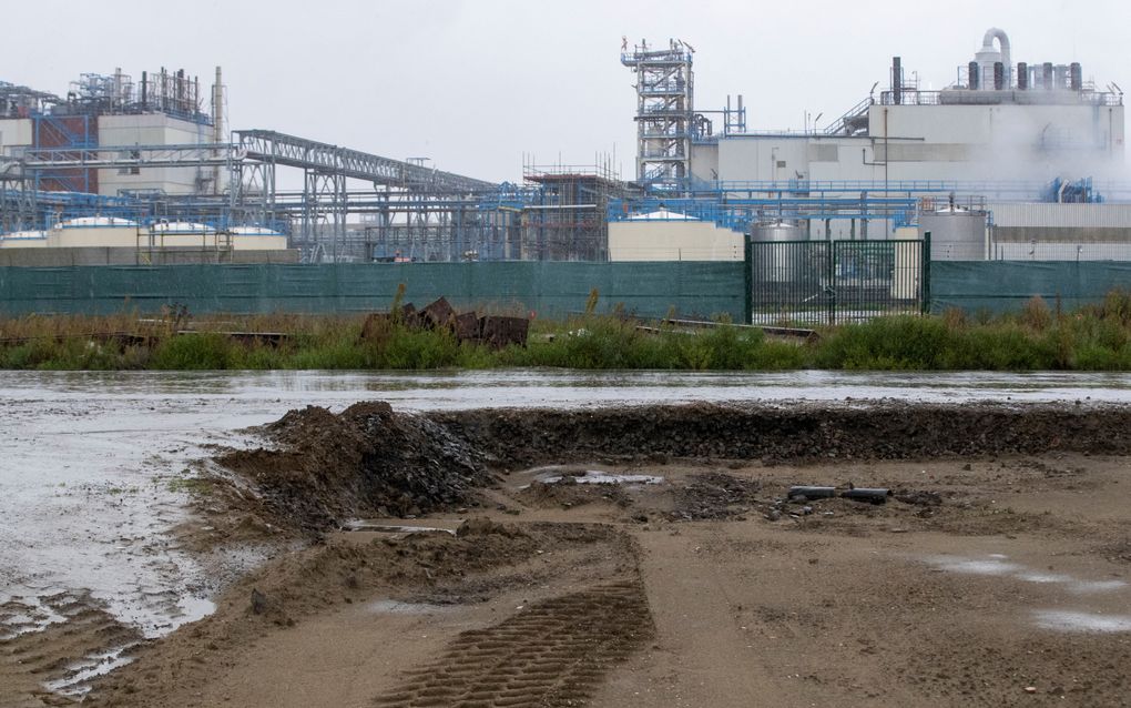 3M, met een vestiging in het Belgische Zwijndrecht bij Antwerpen, heeft jarenlang PFAS in de Schelde geloosd. De Nederlandse Staat wil 3M dan ook aansprakelijk stellen voor de vervuiling van de Westerschelde. beeld AFP, Nicolas Maeterlinck