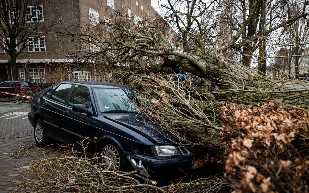 beeld ANP, Sem van der Wal