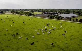 De toegevoegde waarde van de veehouderij daalt door de stoppersregelingen uit 2023 en 2024 naar verwachting met 7 tot 8 procent, stellen de instituten. beeld ANP, Sem van der Wal