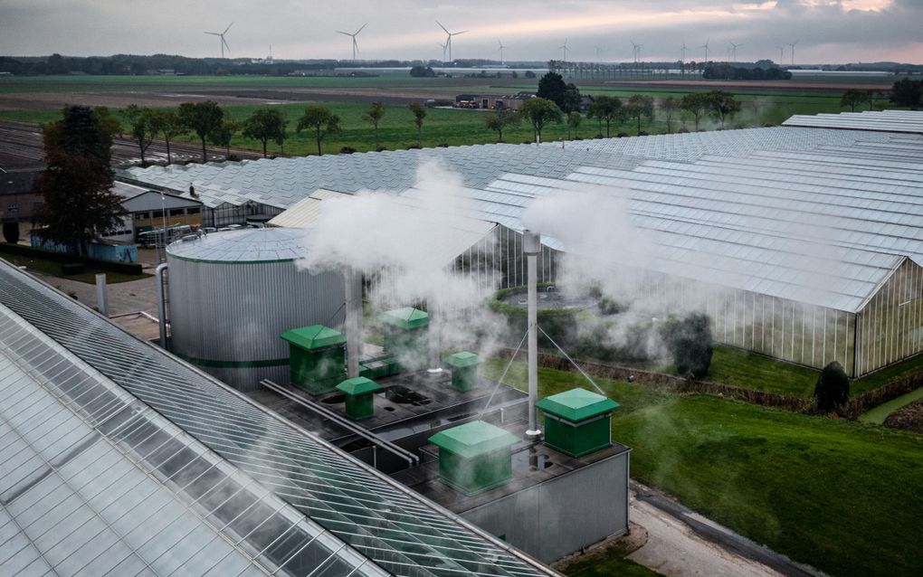 Dronefoto van tuinbouw in gebied Zevenbergen. beeld ANP, Rob Engelaar