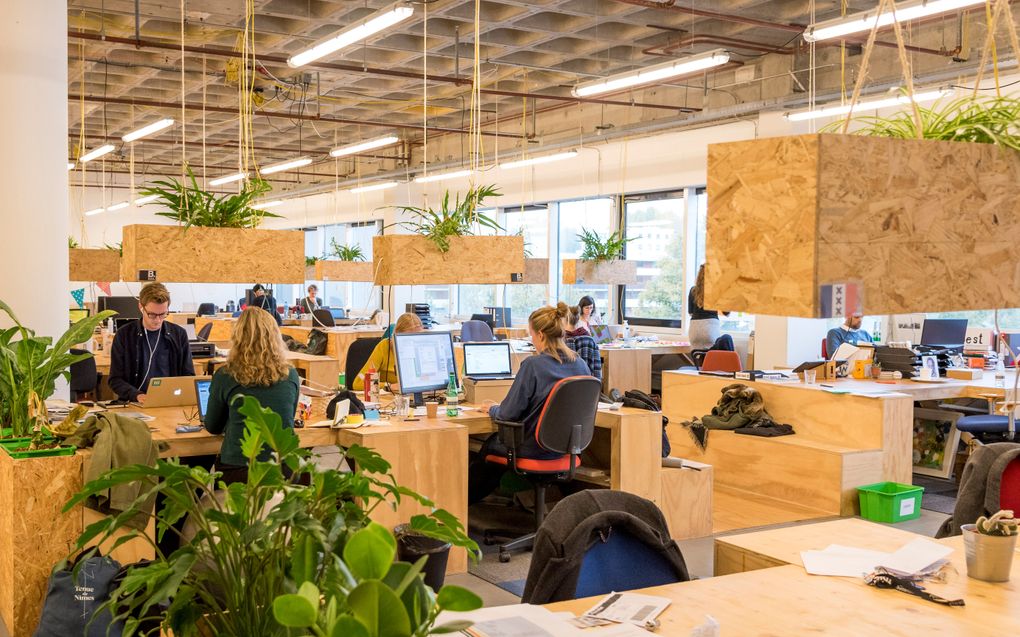 Zzp'ers aan het werk in een verzamelgebouw in Amsterdam. beeld ANP