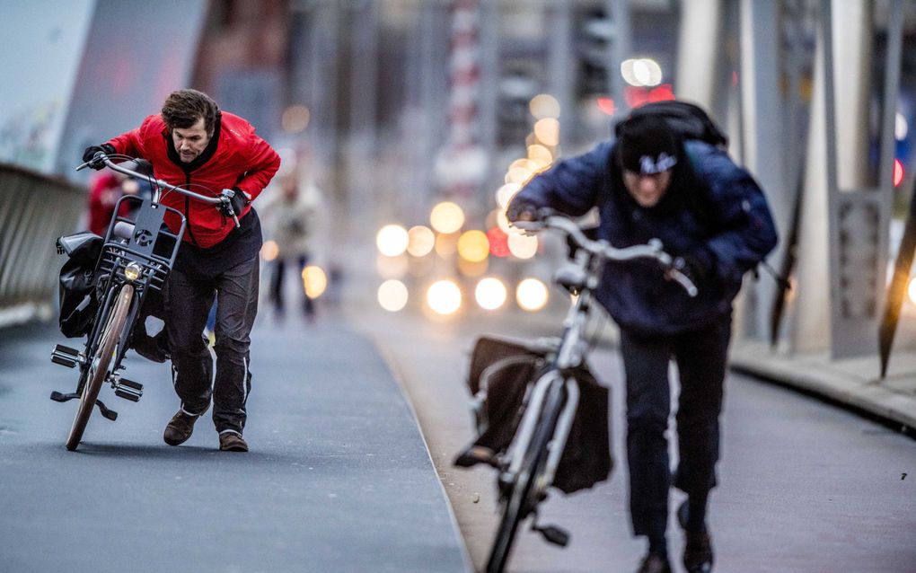 Fietsers op de Erasmusbrug in Rotterdam. beeld ANP