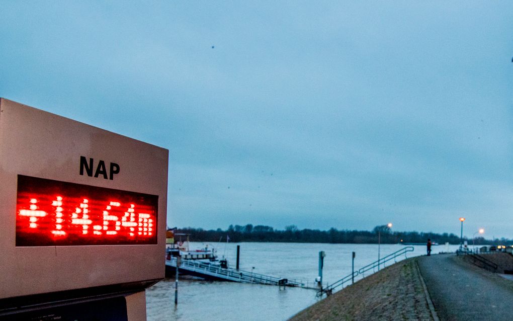 Rijkswaterstaat en de waterschappen denken dat de Rijn bij Lobith maandag een hoogste stand van ruim 14,5 meter boven NAP zal bereiken en daarna mogelijk nog verder stijgt. beeld ANP, Robin Utrecht