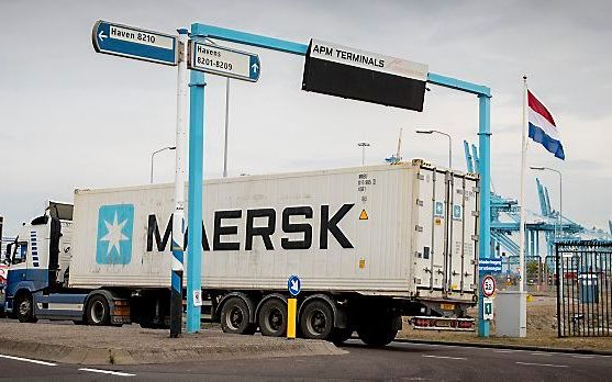 De containerterminals van het havenbedrijf APM ondervonden in juni 2017 hinder van een ransomwareaanval. beeld ANP