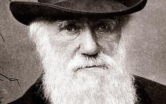 Een nazaat van Charles Darwin is van agnost rooms-katholiek geworden. Beeld Wikimedia