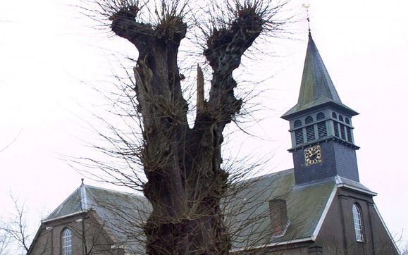 De hervormde kerk in Zuidwolde. Het verhaal gaat dat ds. Hendrik Mantingh, die deze gemeente diende van 1782 tot 1819, vanaf de preekstoel zag dat zijn varkens door de tuin scharrelden. Foto Persburo Melissen