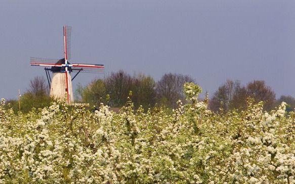 OPHEUSDEN - Jeugdwerker Pepijn Ouwerkerk ziet intolerantie tussen jeugdgroepen in de Betuwe. Foto ANP