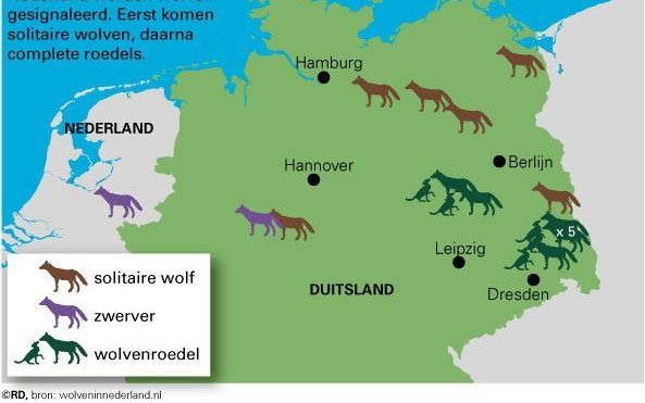 Wolven rukken op richting Nederland.