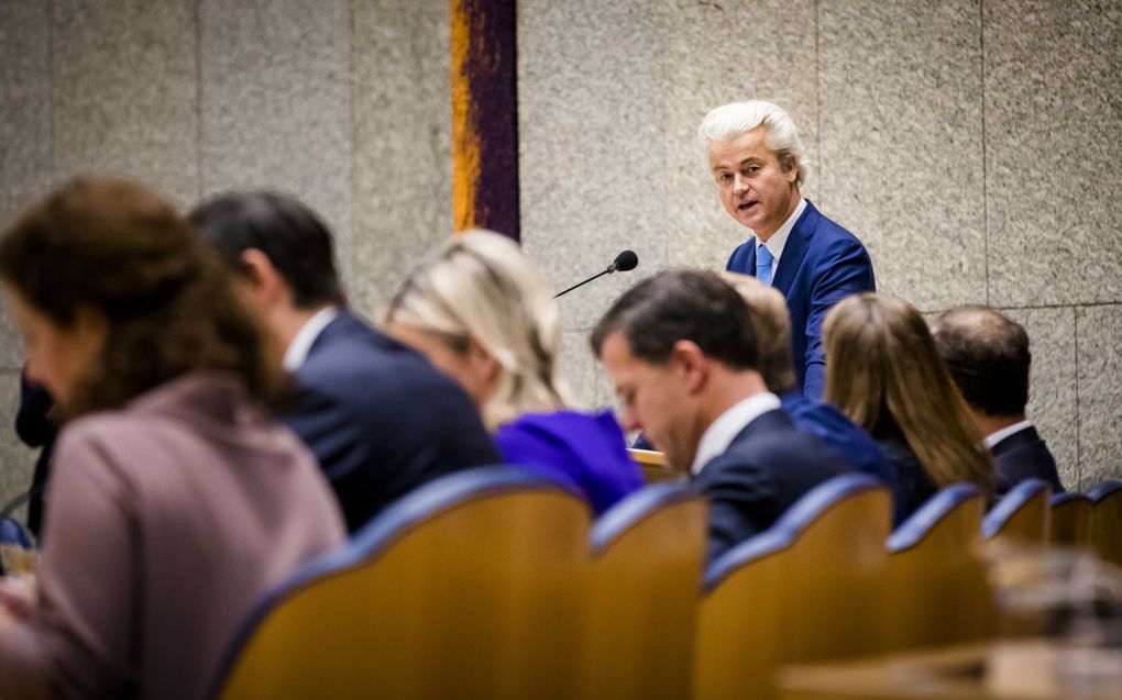 Wilders. beeld ANP