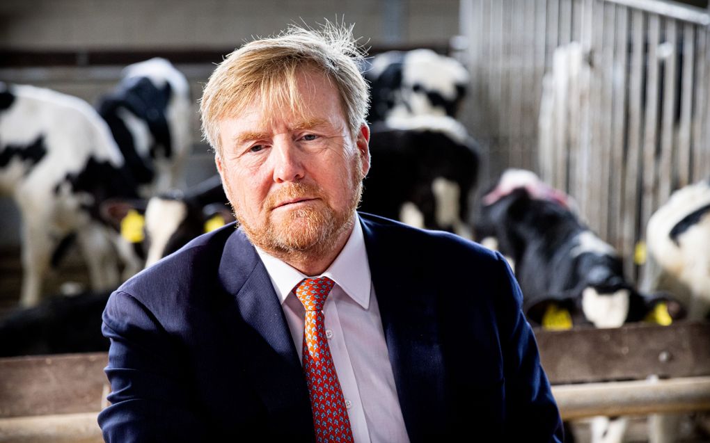 Koning Willem-Alexander brengt een werkbezoek aan een melkvee- en kalverhouderij. Het bezoek stond in het teken van de impact van de plannen voor de aanpak van stikstofuitstoot op Gelderse boeren, op landbouworganisaties en op andere sectoren. beeld ANP, Patrick van Katwijk