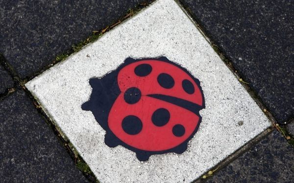 Er komt een monument voor slachtoffers van zinloos geweld. Foto ANP