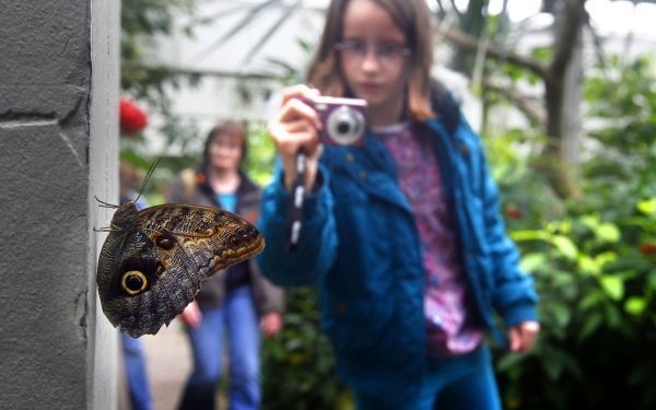 Lot Dierenpark in handen gemeenteraad Emmen. Foto ANP