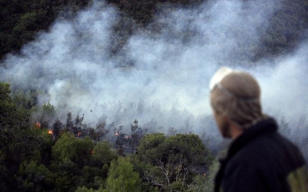 CvI wil 5000 bomen planten in Israël. Foto EPA