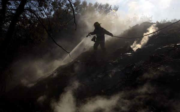 Herstel Israëlisch bos duurt tientallen jaren. Foto EPA