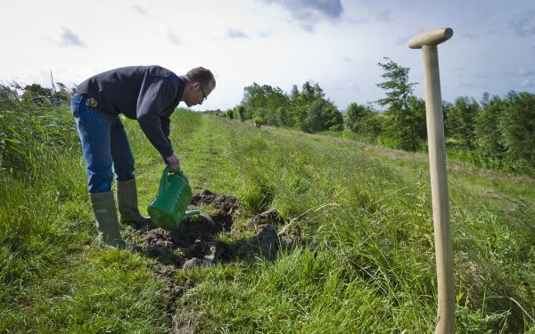 Werknemers van het Hoogheemraadschap van Delfland zijn dinsdag bezig met herstelwerkzaamheden aan een veendijk in de Duifpolder in Midden-Delfland. De dijk vertoont over een lengte van 350 meter scheuren als gevolg van de droogte. Foto ANP