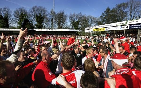 IJsselmeervogels. Foto ANP