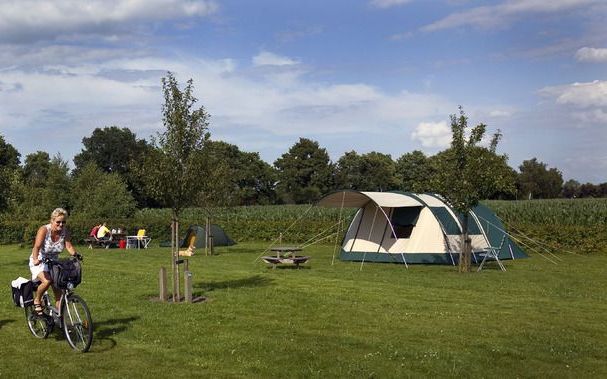 Natuurkampeerterrein De Rietkraag in Lemelerveld. Foto ANP