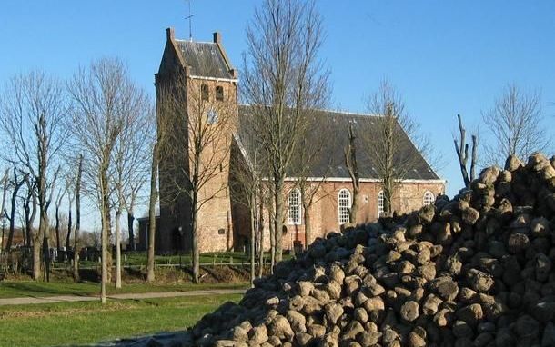 Een berg suikerbieten bij een historisch Groninger kerkje. Alleen bevindelijk gereformeerde kerken houden een speciale dankdag voor gewas en arbeid. Foto uit particuliere collectie