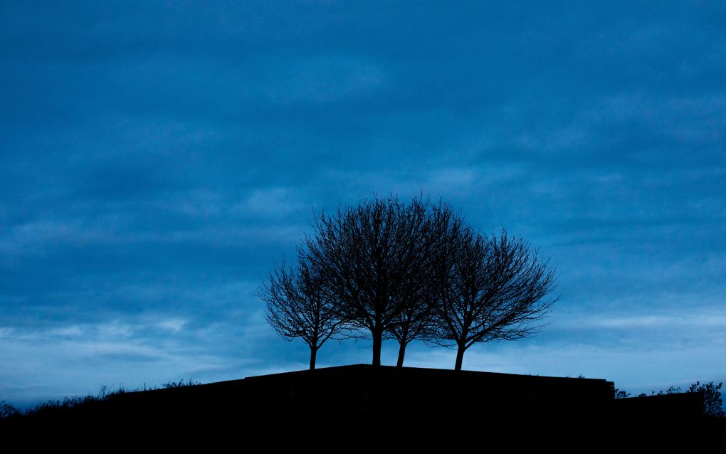 beeld AFP, Moritz Frankenberg