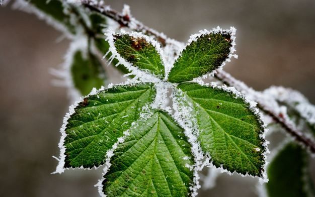 Het KNMI waarschuwt weggebruikers voor ijzel. In de nacht van dinsdag op woensdag kan het op verschillende plaatsen gaan ijzelen, te beginnen in het westen van het land. Dat liet een woordvoerder van het KNMI dinsdagavond weten. Foto ANP