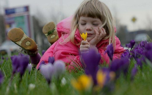 APELDOORN – Het kriebelt. Het is lente. De tuin roept om schoffel en hark. Mensen spoeden zich naar tuincentra. Toch geven ze minder uit dan normaal. Voorjaarskriebels kunnen de gevolgen van de recessie niet helemaal wegpoetsen. Van de Nederlandse consume