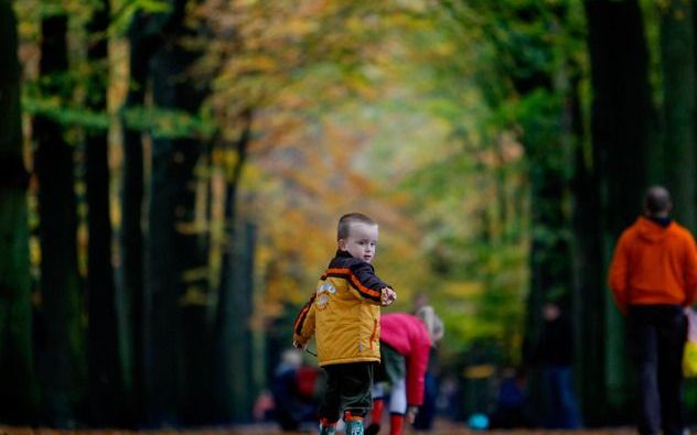 De herfst was volgens het KNMI dit jaar normaal. Foto ANP