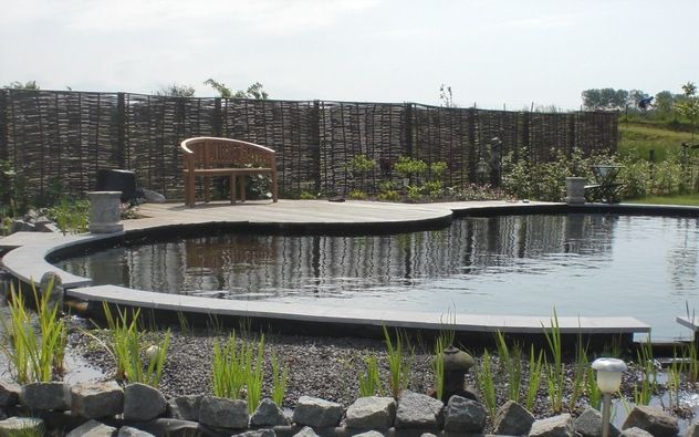 De zwemvijver van Bram Bostelaar. „Het mooie aan zo’n zwemvijver is dat het een onderdeel van je tuin is. Het ziet er natuurlijk uit. Een gewoon zwembad heel vaak een felblauwe of witte bodem.” Foto’s RD