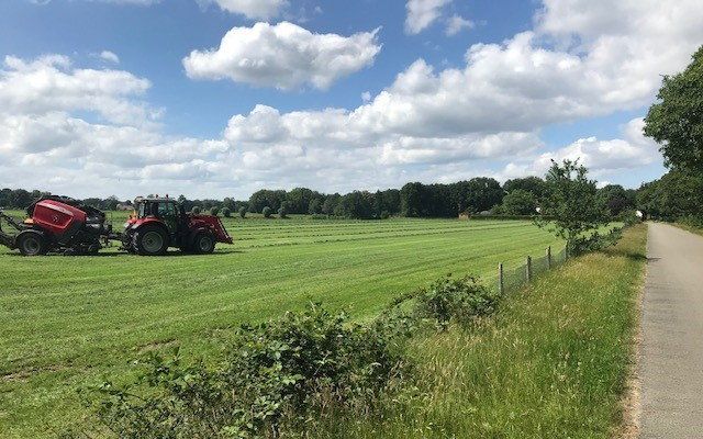 Het gras wordt nog gauw gemaaid op de locatie van het boerenprotest. beeld RD