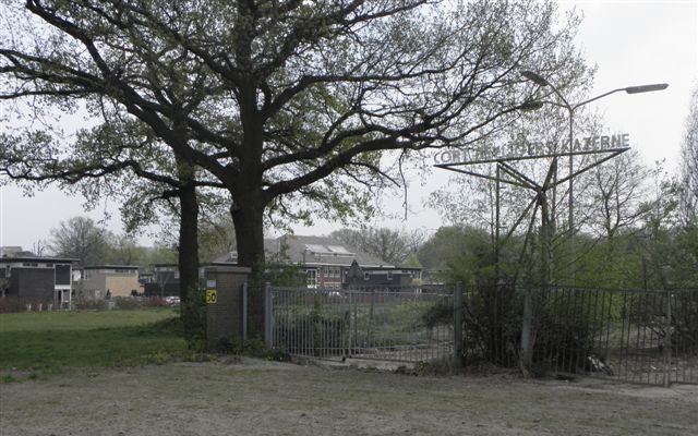 Het ijzeren hekwerk wordt overwoekerd door bomen en struiken. Foto RD