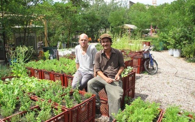 Robert Shaw en Marco Clausen verbouwen in de Prinzessinnengärten groenten en kruiden in plastic kisten. Foto prinzessinnengarten.net