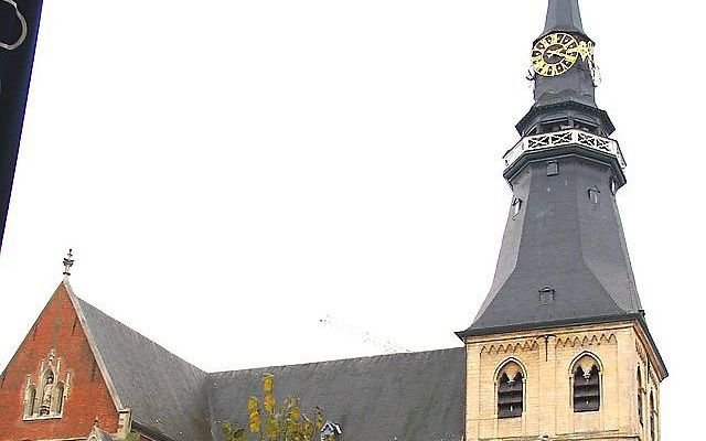 De Sint-Quintinuskathedraal in het Belgische Hasselt. beeld Wikimedia