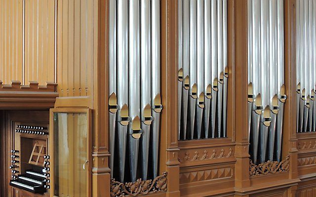 Het orgel. Beeld organisten