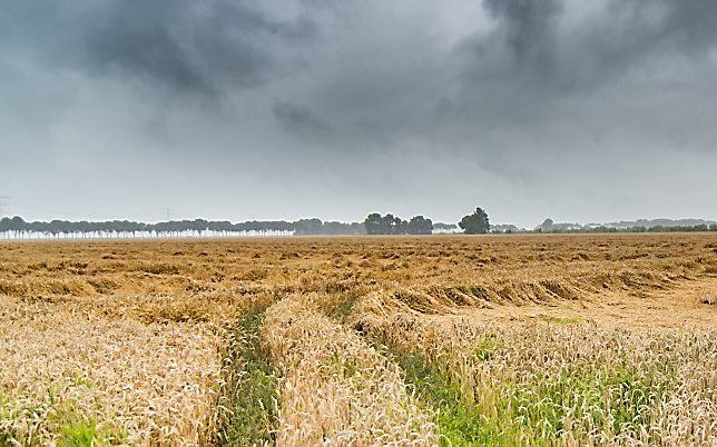 Noordbroek. beeld ANP