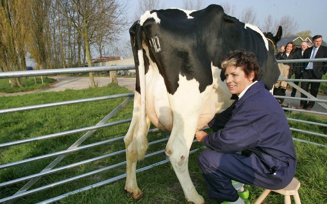 BUREN – De Nederlandse Melkveehouders Vakbond (NMV) en de Dutch Dairymen Board (DDB) vragen minister Verburg (LNV) om steun voor een plan van de European Milk Board (EMB) om de problemen op de zuivelmarkt op te lossen. Foto ANP