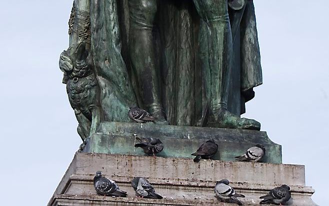 Advocaat Frank van Ardenne stort zich nu ook op het al jarenlange onderzoek naar de precieze gang van zaken bij de moord op Willem van Oranje (1584). Foto ANP