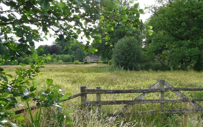 Weiland in de omgeving van Leusden. - Foto RD