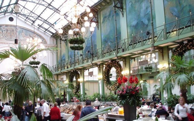 De decoratieve staalconstructie, palmen, cactussen en wandschilderingen van de Wintertuin in Grand Hotel Krasnapolsky baarden na de bouw in 1880 opzien in heel West Europa. Tegenwoordig staan hotelgasten én passanten in de rij voor misschien wel het beste